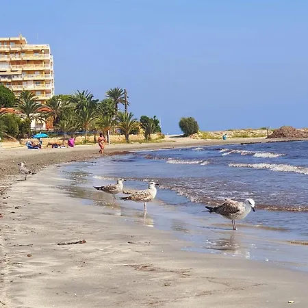 Sea Breeze First Line By The Sea * Santa Pola